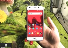 wiko wim handson