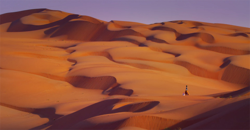 google plus desert