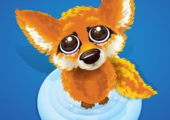 firefox trop facile a pirater pwn2own