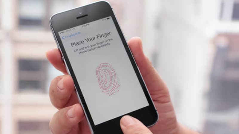 touch id pirater pate modeler