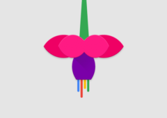 google fuschia