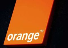 orange fin roaming