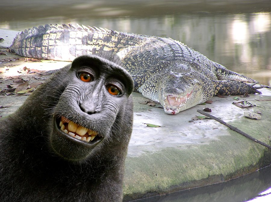 touriste crocodile selfie
