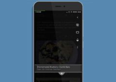 BlackBerry Privacy Shade