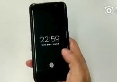 vivo scanner