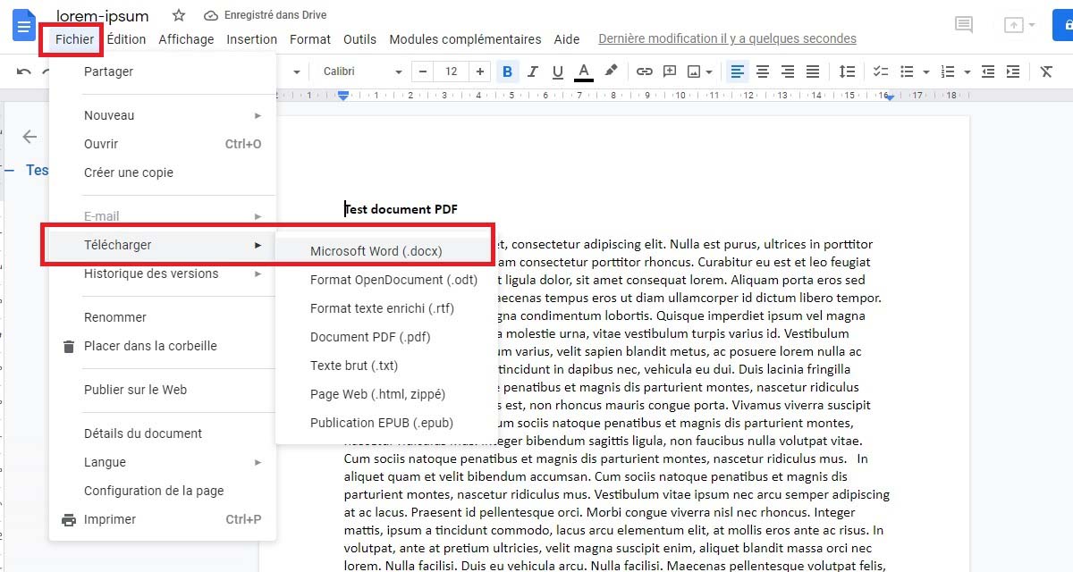 Download the converted PDf in Word format