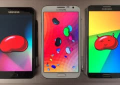 android jelly bean