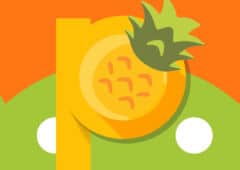 android pineapple