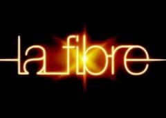 fibre orange