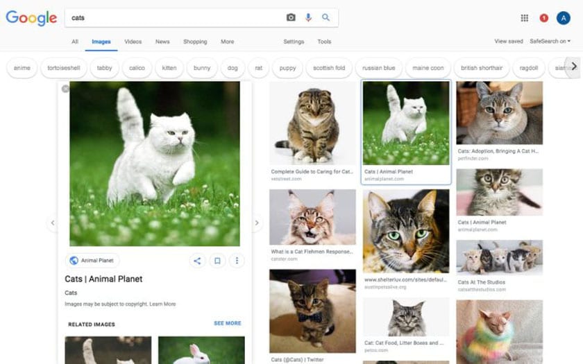 google images design