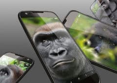 gorilla glass