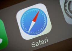 safari