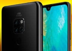 mate 20
