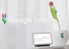 poisson avril google tulip