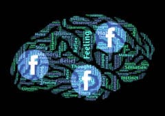 facebook cerveau