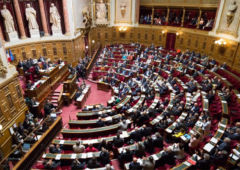 senat