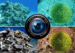 algorithme photo sous eau