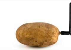 smart potato