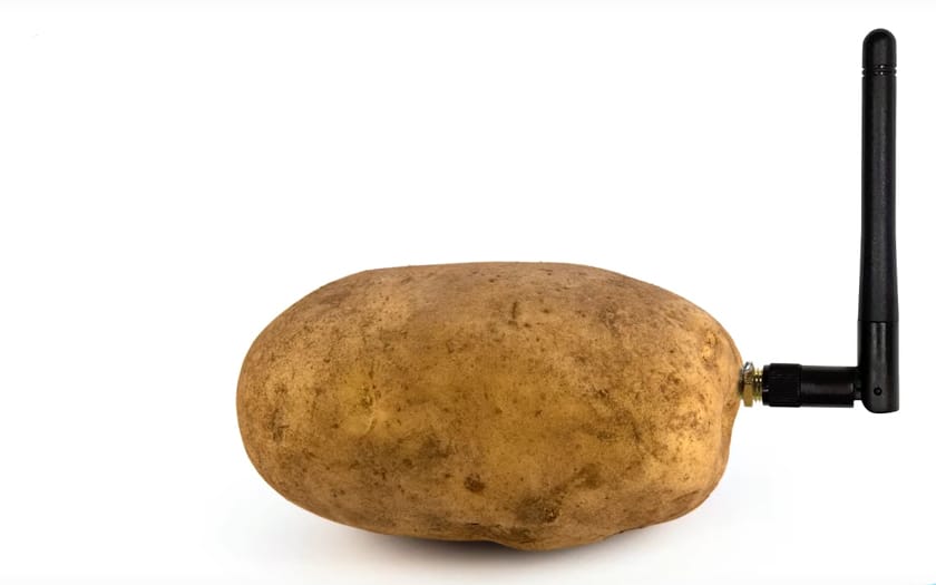 smart potato