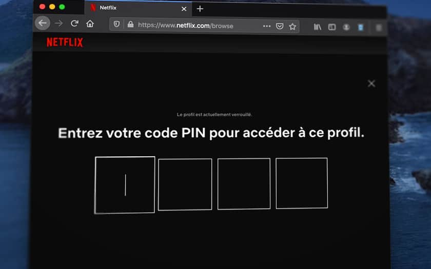 Netflix code PIN