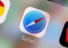 safari