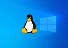 windows 10 linux