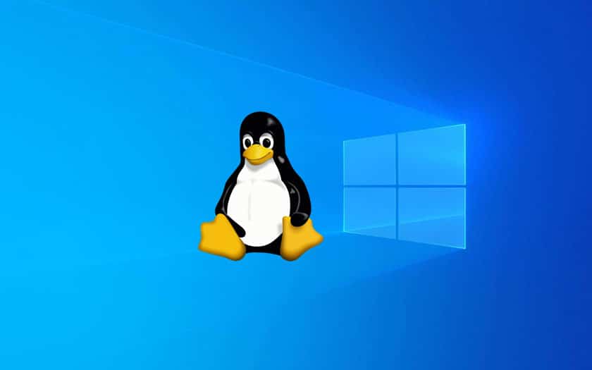 Linux su Windows 10
