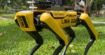 Coronavirus : ce robot chien digne de Black Mirror veille au respect de la distanciation sociale