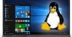 Windows 10 accueille les interfaces graphiques Linux, l'application Terminal passe en version stable