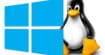 Windows 10 regagne des utilisateurs, Linux monte en flèche