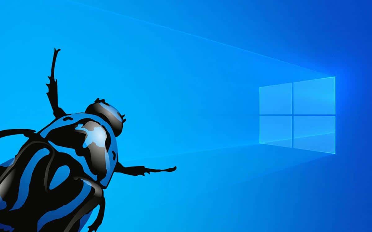 Windows 10 bug