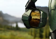 halo infinite report annulation