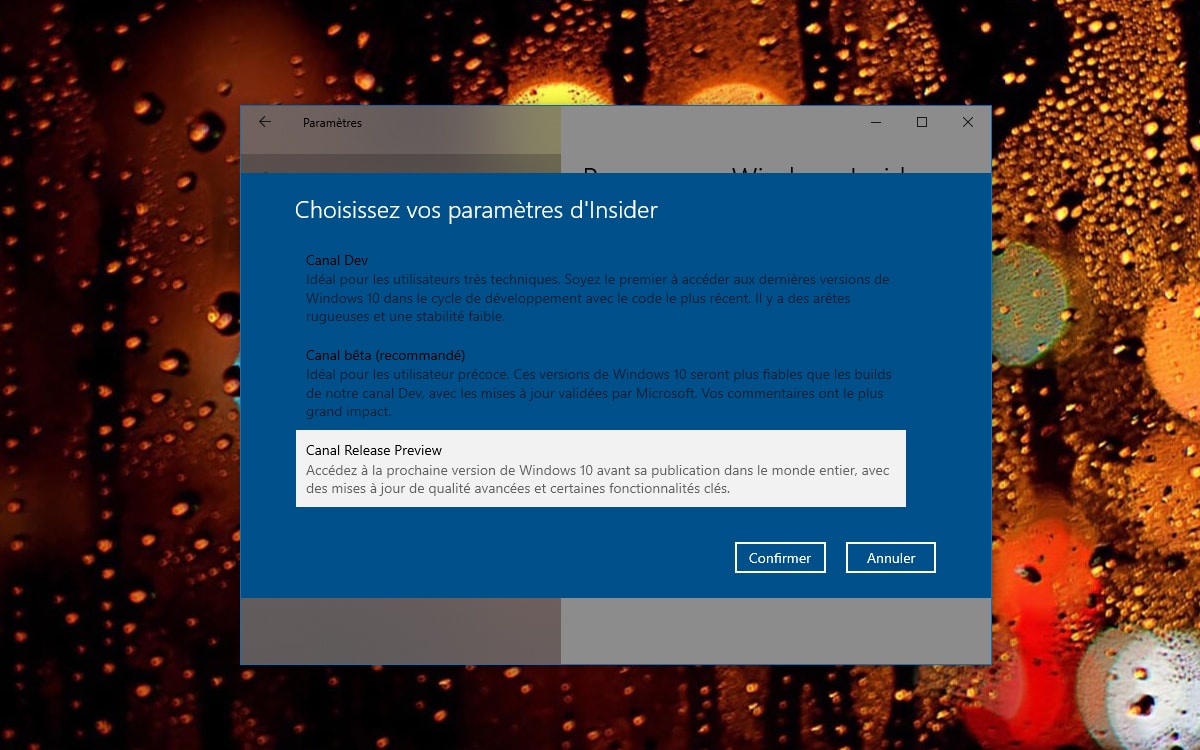 Windows 10 Mise a jour octobre 2020 choix canal release preview