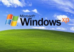 windows xp