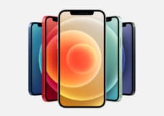 iphone douze penurie