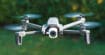 Google interrompt ses livraisons par drone à cause des attaques de corbeaux