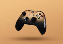 manette limitee duracell