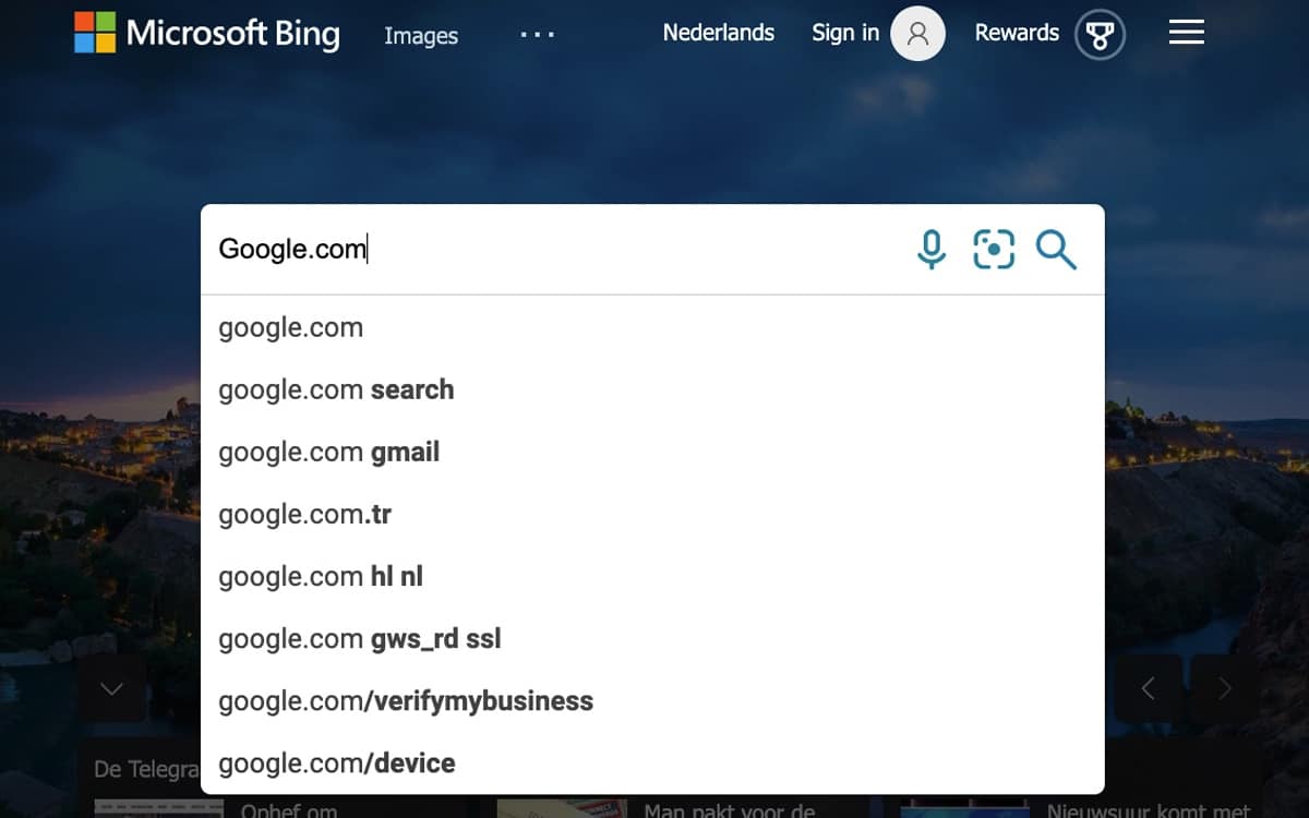 Bing Google