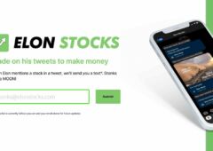 elon stocks