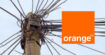 Orange : bientôt une loi pour pénaliser l'opérateur en cas de pannes à répétition ?