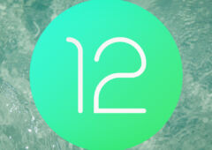 android 12 dp