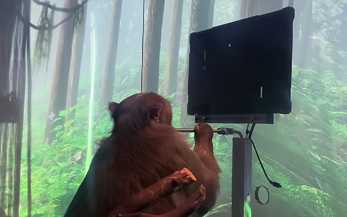 neuralink monkey pong