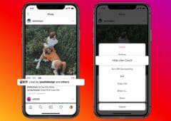 instagram facebook cache compteur likes