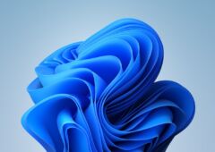 Windows 11 fond d'écran