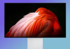 apple pro display xdr