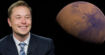 Elon Musk partira bien dans l'espace, mais pas avec SpaceX