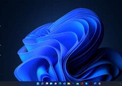 Windows 11