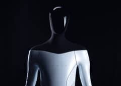 tesla bot
