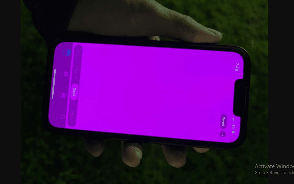 iphone 13 pink screen