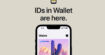 iPhone, Apple Watch : l'application Cartes prend désormais en charge les cartes d'identité et permis de conduire